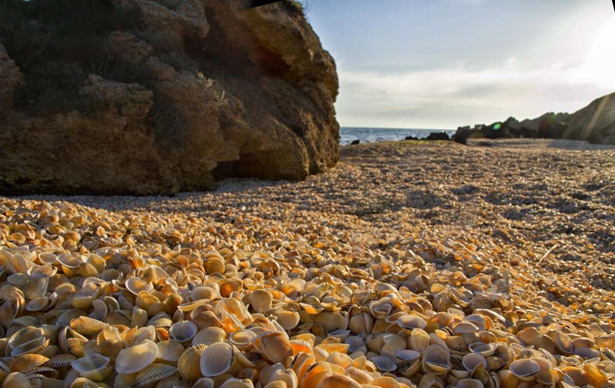 ... ����� �������  �� PhotoGeek.ru #������ ��� �������