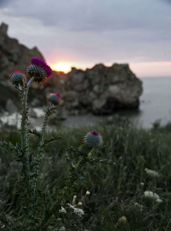 ... ����� �������  �� PhotoGeek.ru #������ ��� �������