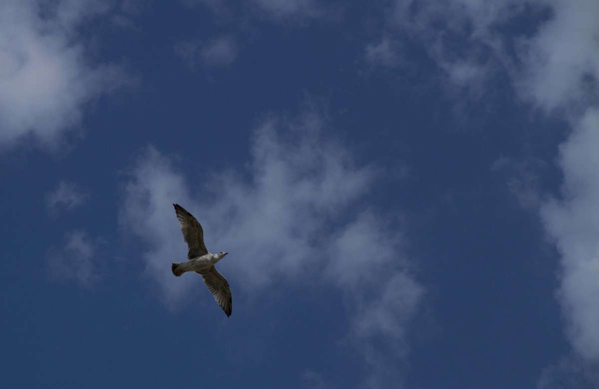 ... ����� �������  �� PhotoGeek.ru #�������� ���