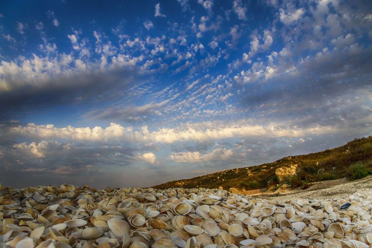 ... ����� �������  �� PhotoGeek.ru #������ ��� �������