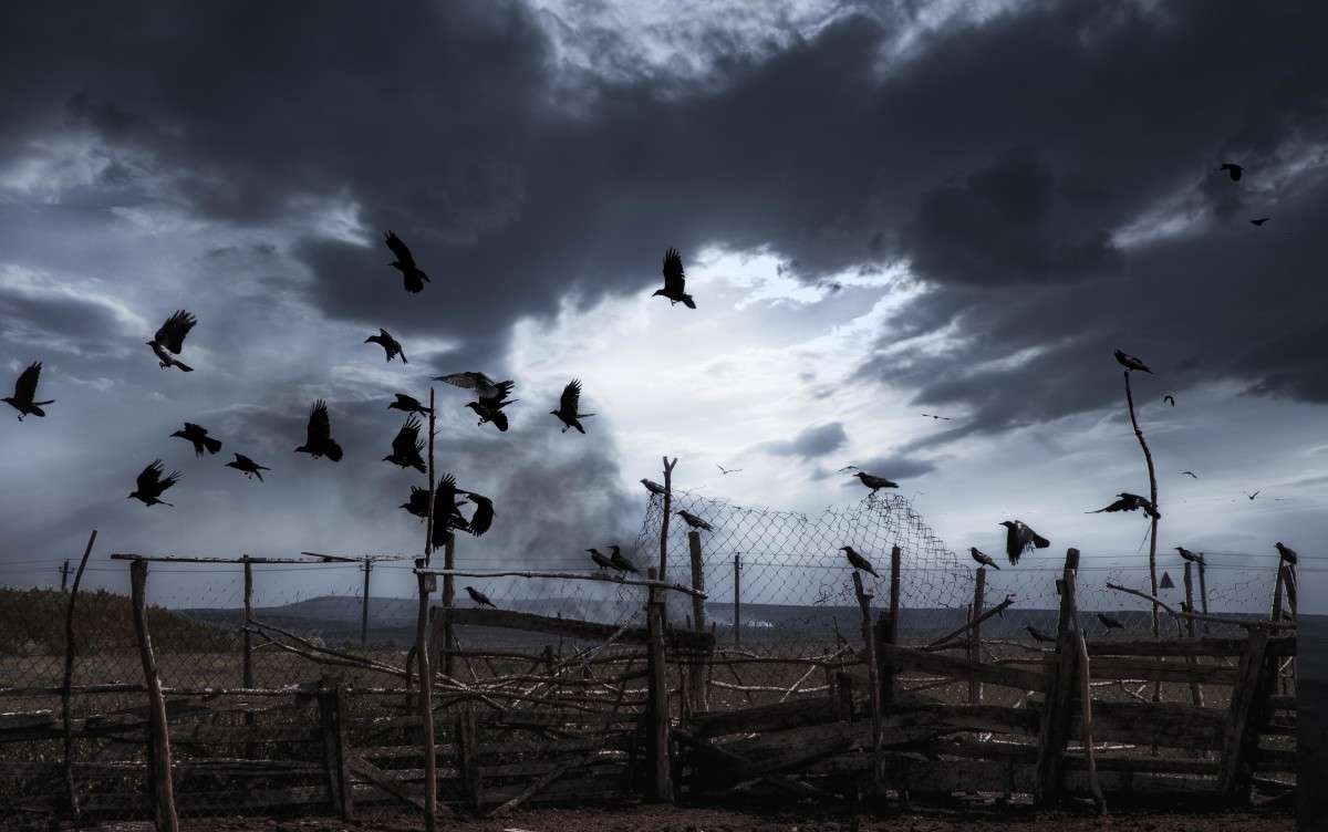 ... ����� �������  �� PhotoGeek.ru #�������� ��� #������ ��� �������