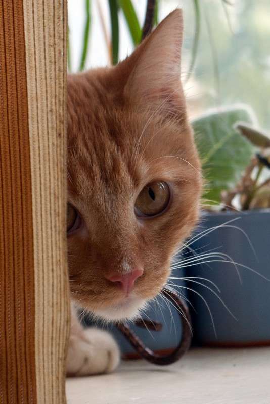 ����� ������� ����� sergey  �� PhotoGeek.ru #�������� ��� #��� #����