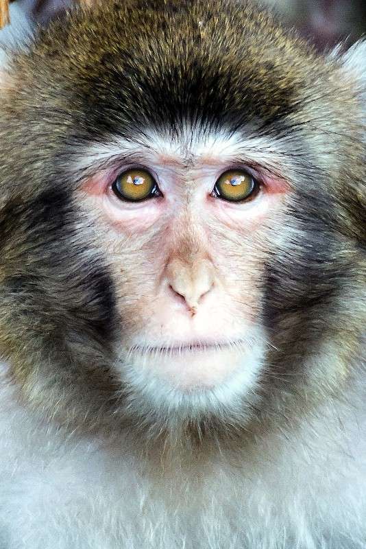 ... ����� sergey  �� PhotoGeek.ru #�������� ���