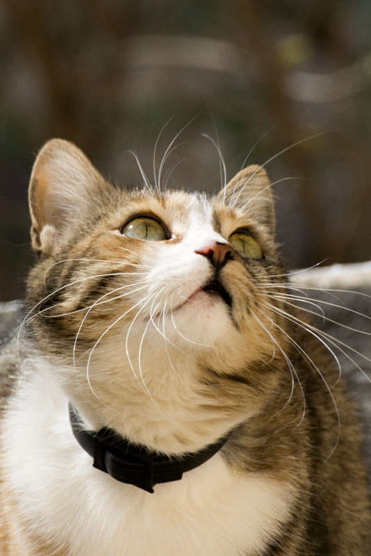 ����� ����� sergey  �� PhotoGeek.ru #�������� ���