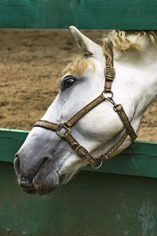 ���� ����� sergey  �� PhotoGeek.ru #�������� ���