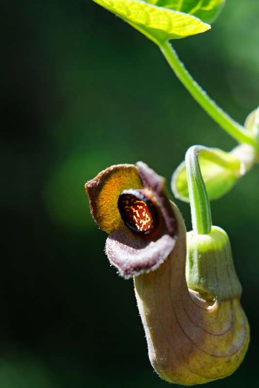 ... ����� sergey  �� PhotoGeek.ru #������ ��� �������