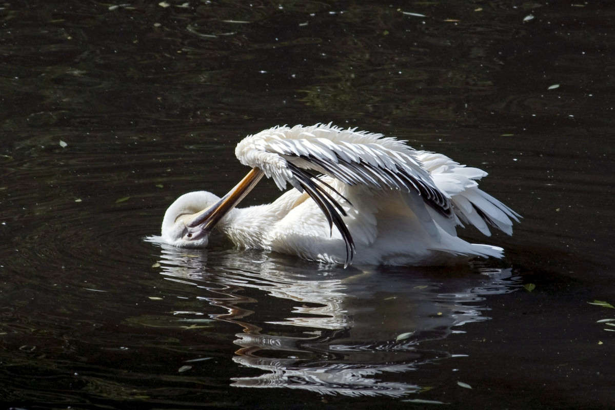 ... ����� sergey  �� PhotoGeek.ru #�������� ���