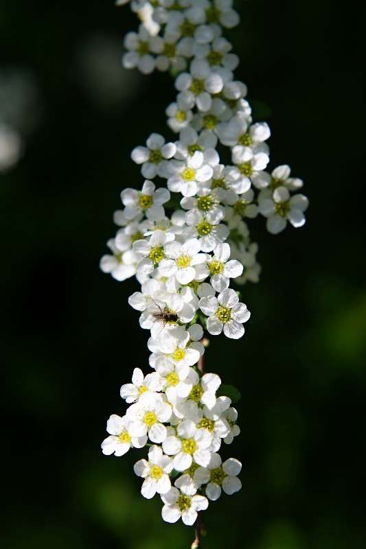 ... ����� sergey  �� PhotoGeek.ru #������ ��� �������