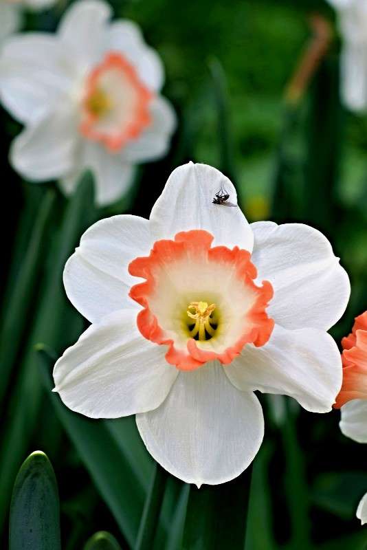 ... ����� sergey  �� PhotoGeek.ru #������ ��� �������