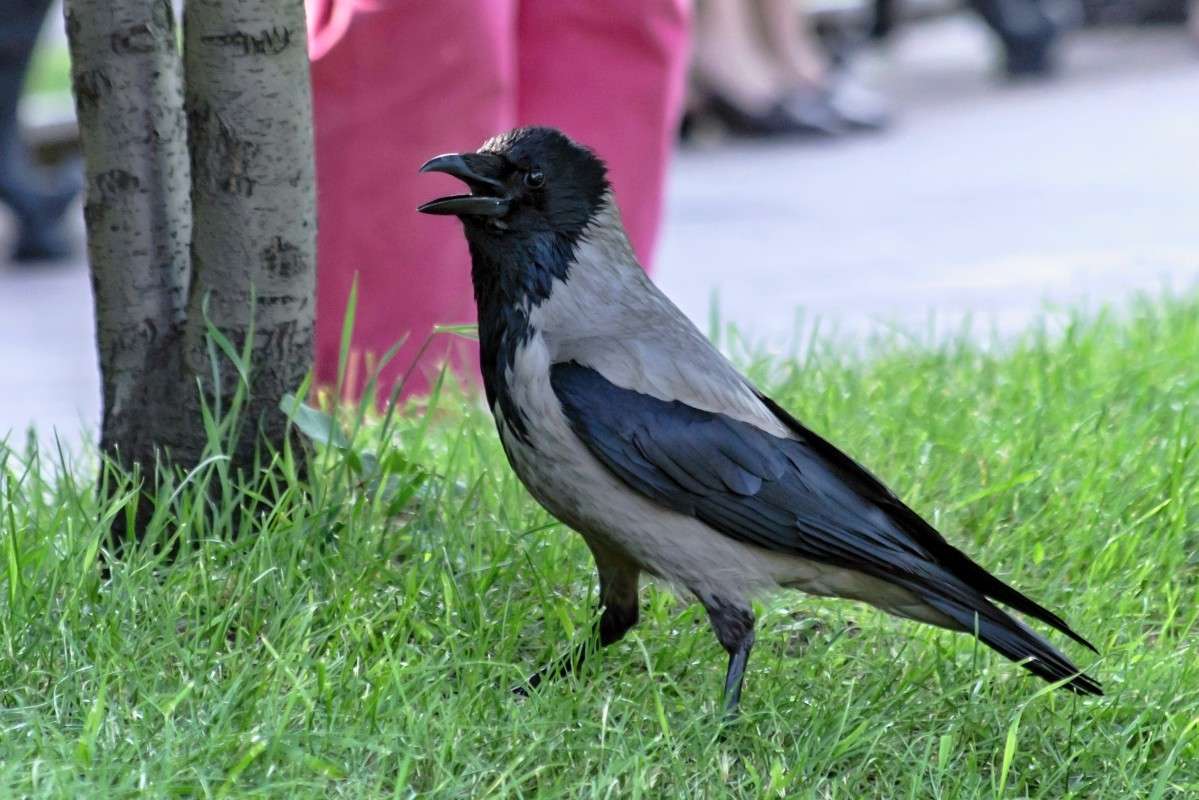 ... ����� sergey  �� PhotoGeek.ru #�������� ���