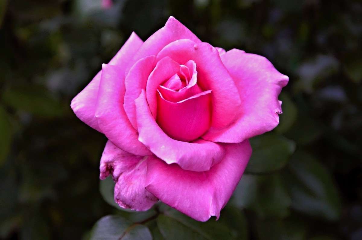 ... ����� sergey  �� PhotoGeek.ru #������ ��� �������