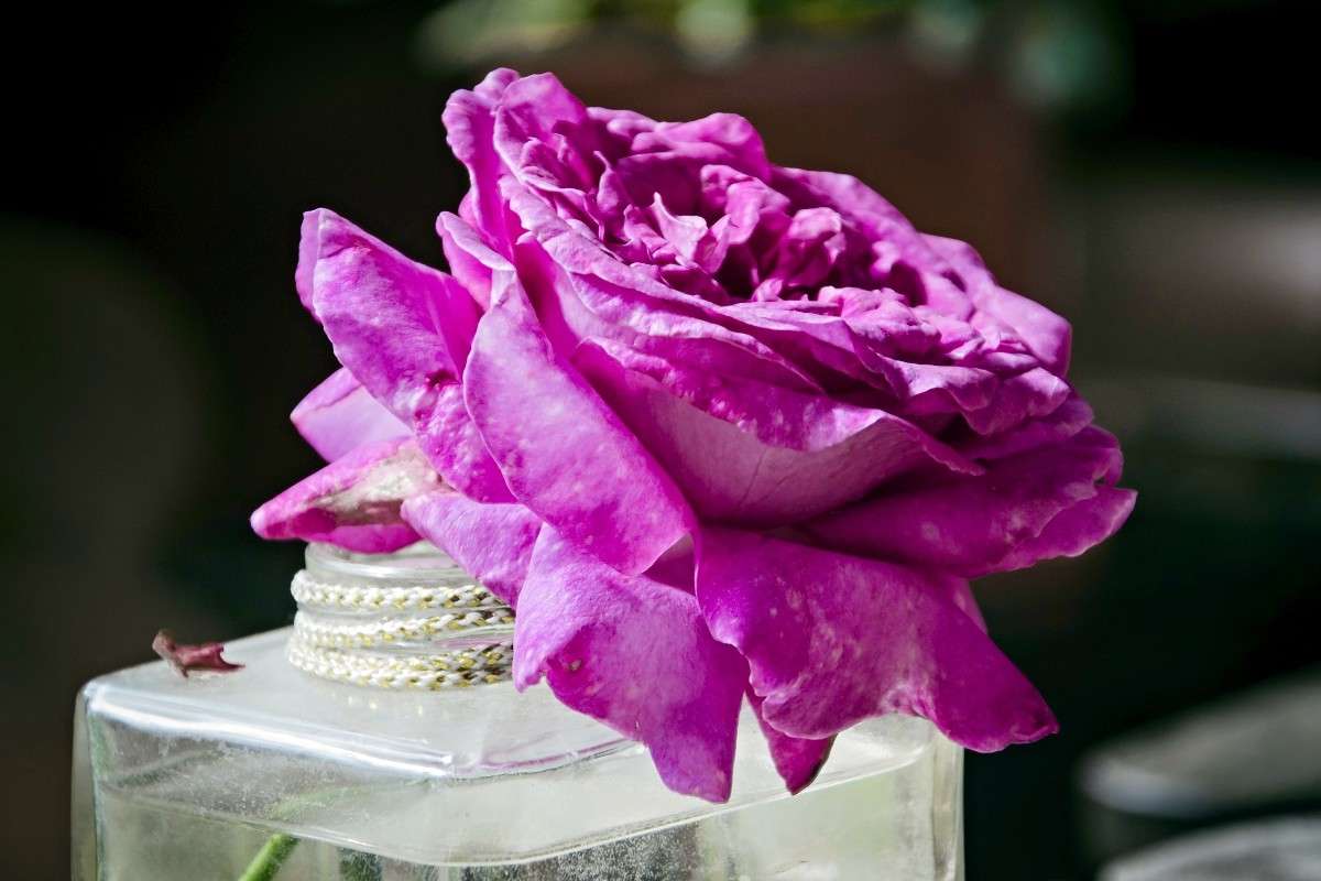 ���� � ������� ����� sergey  �� PhotoGeek.ru #���������