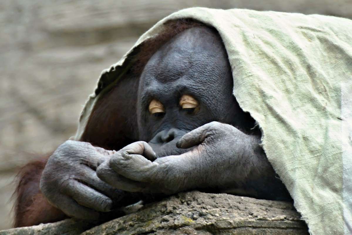 ������� ����� sergey  �� PhotoGeek.ru #�������� ���