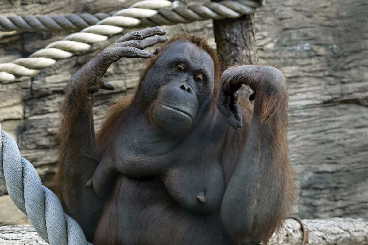 ������ � ������ ����� sergey  �� PhotoGeek.ru #�������� ���