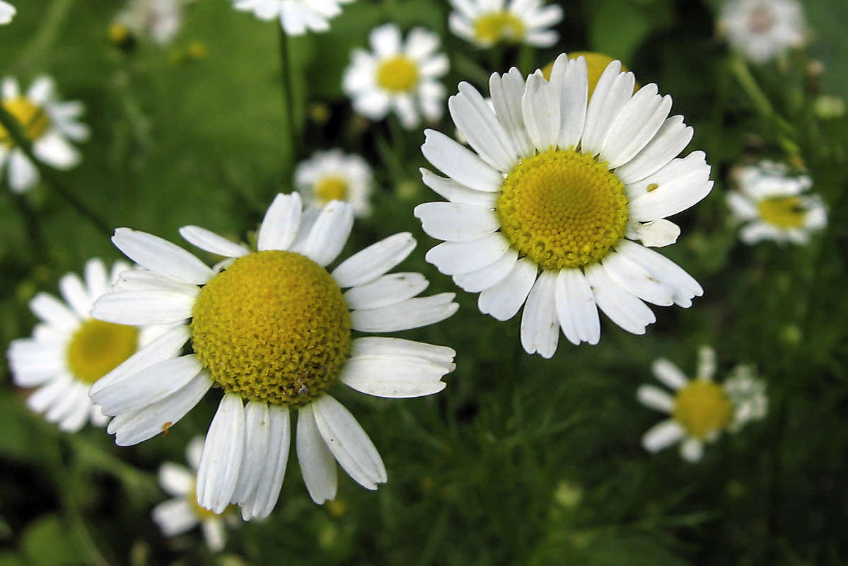 ������� ����� sergey  �� PhotoGeek.ru #������ ��� �������