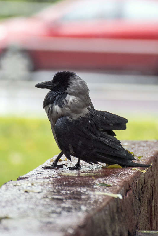 ... ����� sergey  �� PhotoGeek.ru #�������� ���