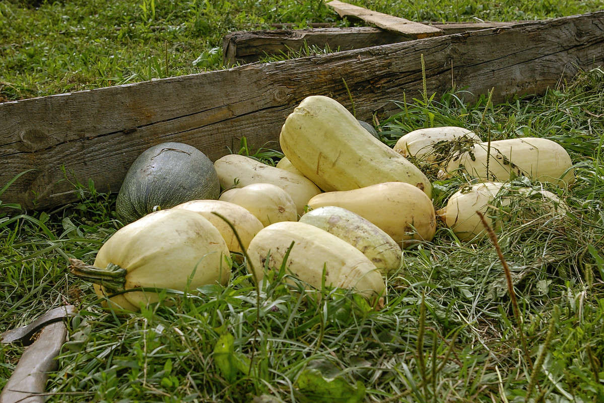 ... ����� sergey  �� PhotoGeek.ru #��������� #������ ��� �������