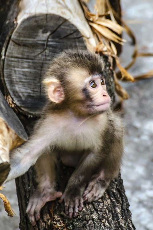 ... ����� sergey  �� PhotoGeek.ru #�������� ���