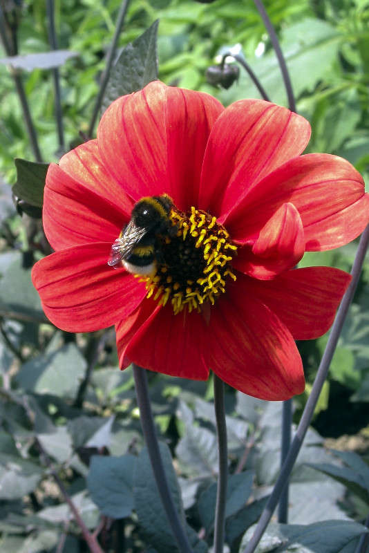 ... ����� sergey  �� PhotoGeek.ru #������ ��� �������