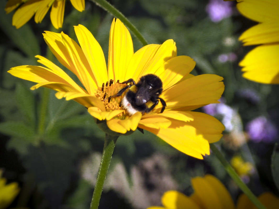 ... ����� sergey  �� PhotoGeek.ru #�������� ��� #������ ��� �������