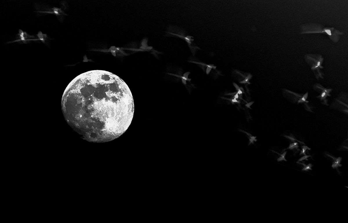 ��������� ���� ����� ���� ����� �� PhotoGeek.ru #���� ����