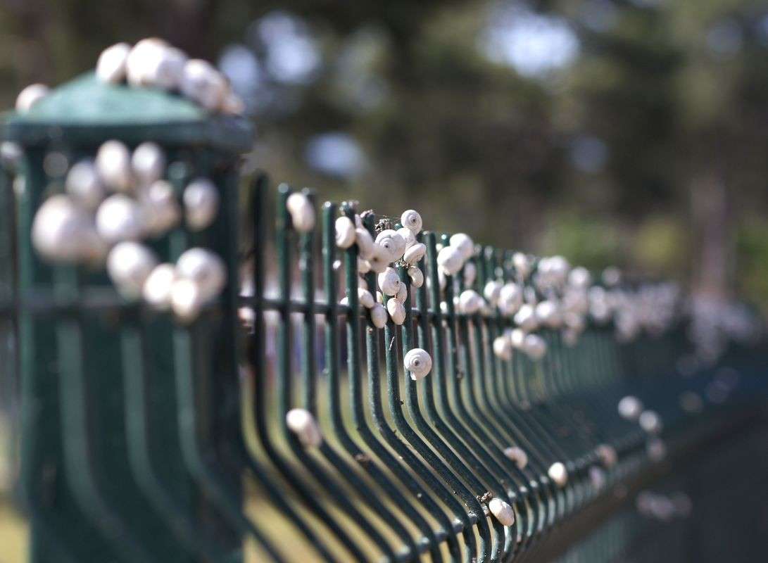 ����� ����� ���� ����� �� PhotoGeek.ru #�������� ���