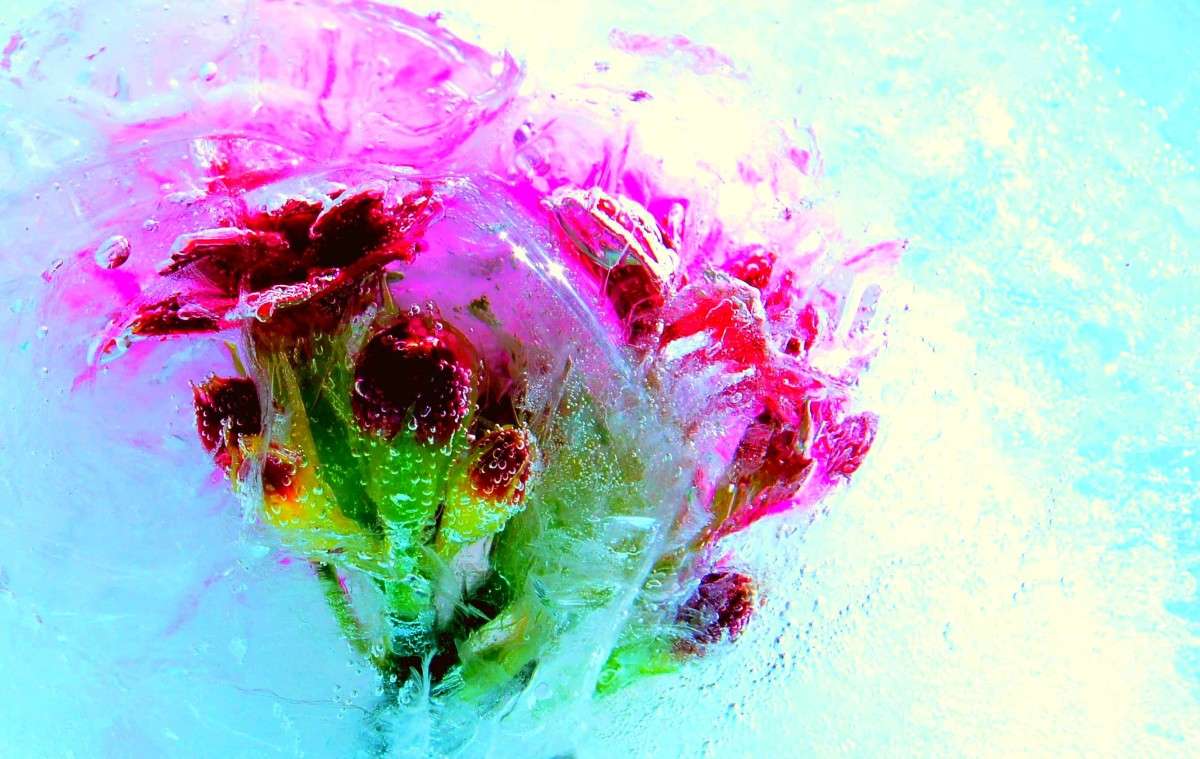 �������� ����� ���� ����� �� PhotoGeek.ru #��������� #�������������