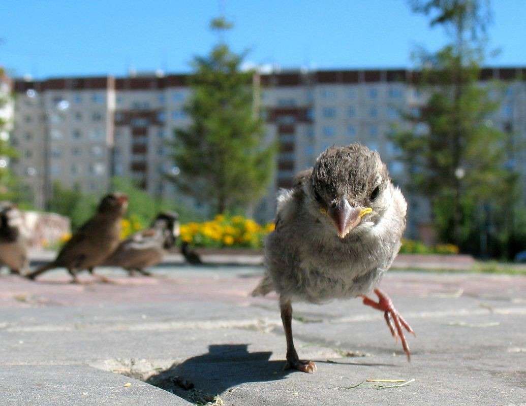 ������ ����� ���� ����� �� PhotoGeek.ru #����� #�������� ���