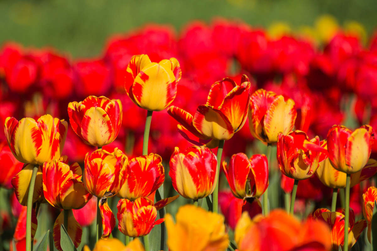 ��� ����� �����  �� PhotoGeek.ru #������ ��� ������� #����� �������������� #����� ��������