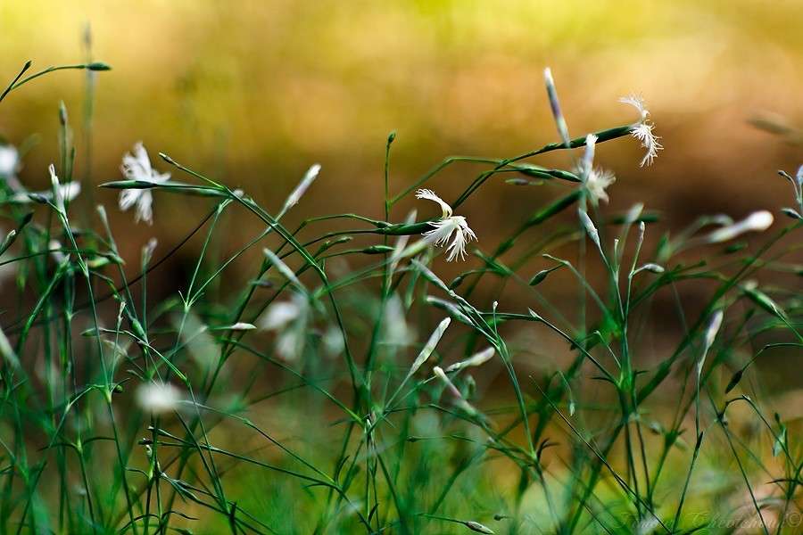 ... ����� �����  �� PhotoGeek.ru #������ ��� �������