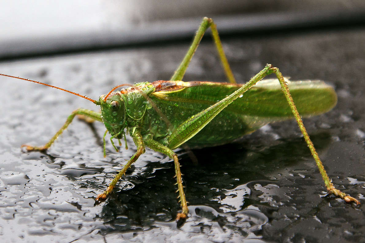 ����� ���� ����� �����  �� PhotoGeek.ru #�������� ��� #������� #������