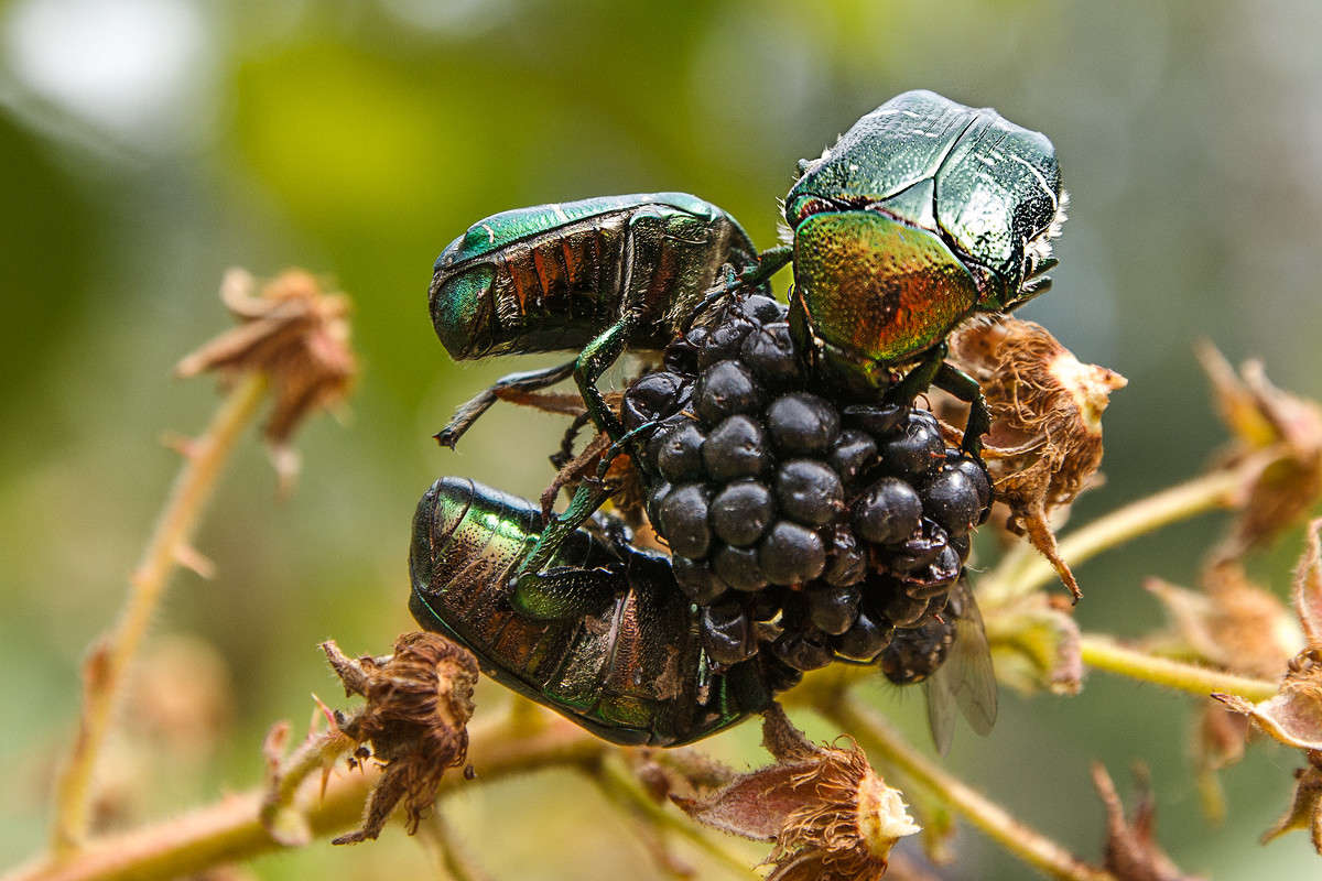 ������� ����� �����  �� PhotoGeek.ru #�������� ��� #����� ��� ��� ���������