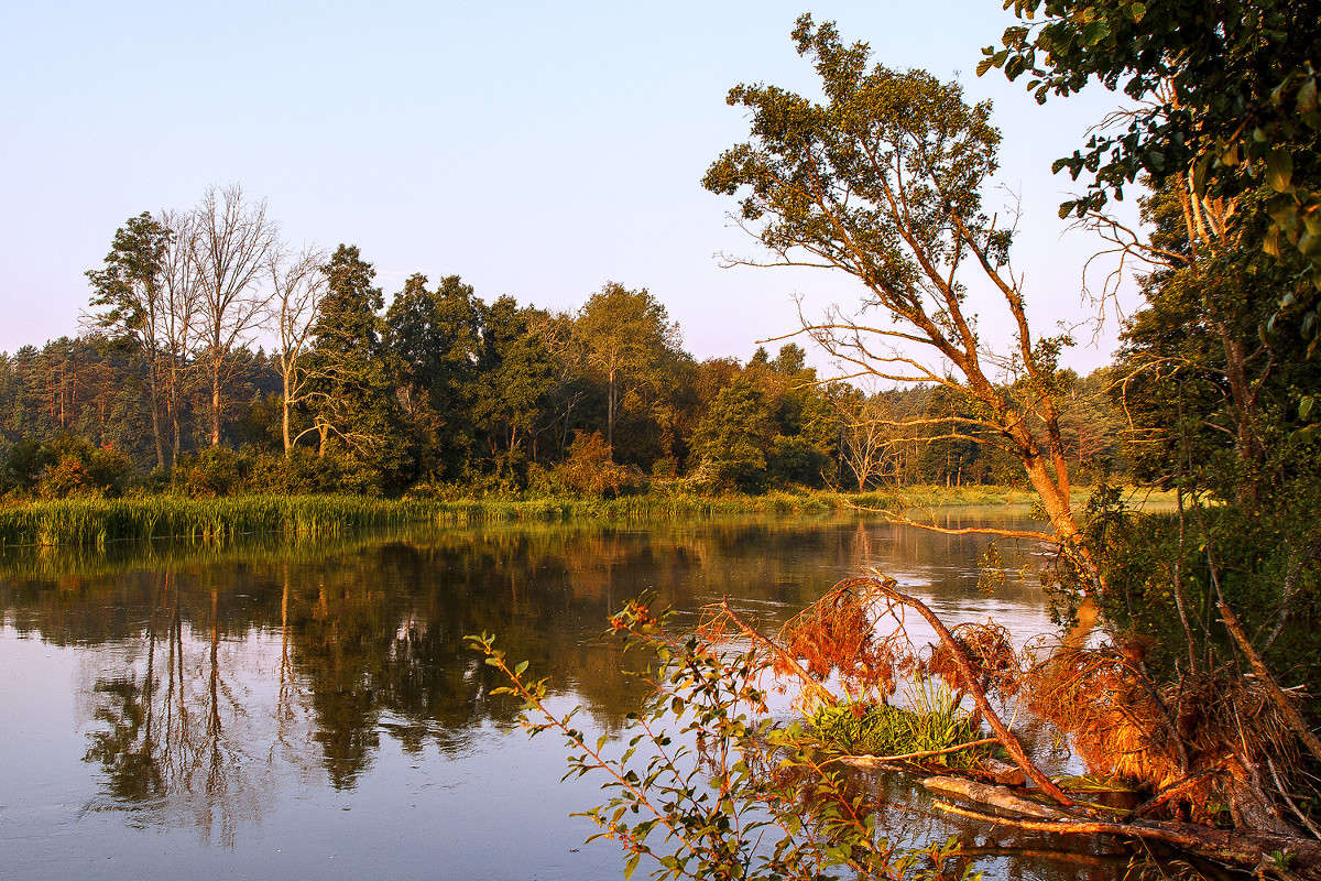 ���� �� ���� ����� �����  �� PhotoGeek.ru #������ ��� �������