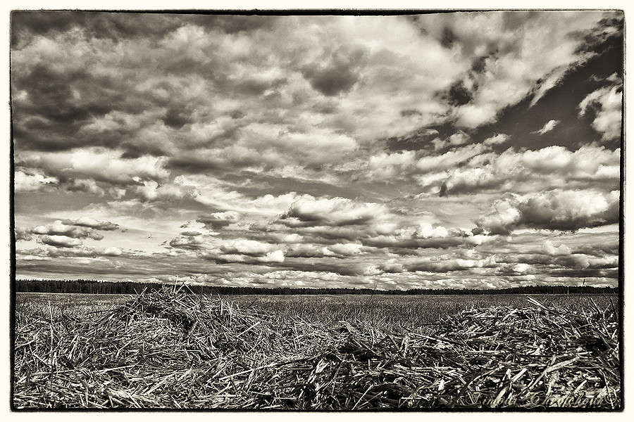 ������ � ������ ����� �����  �� PhotoGeek.ru #������ ��� ������� #�����-�����