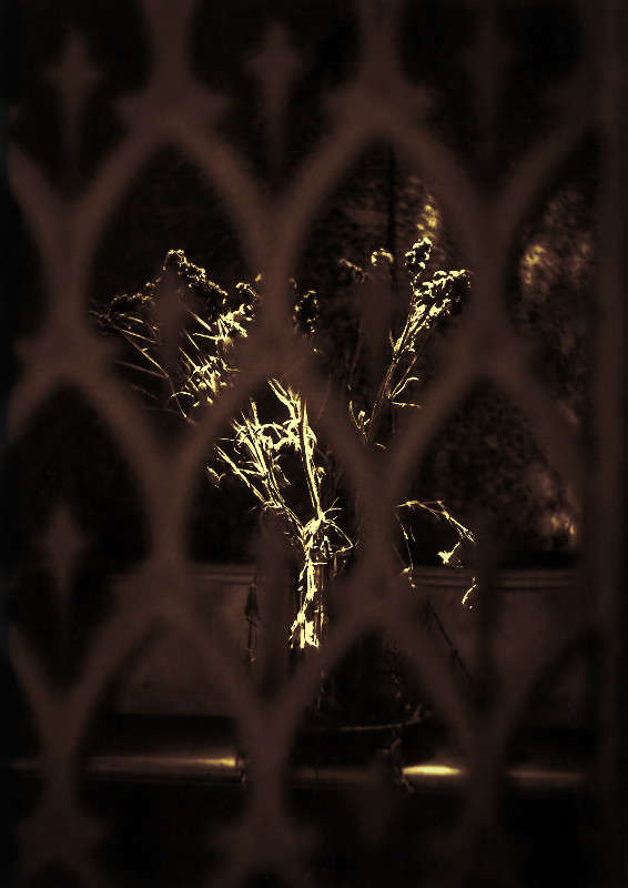 ... ����� �����  �� PhotoGeek.ru #��������� #�������� ����������