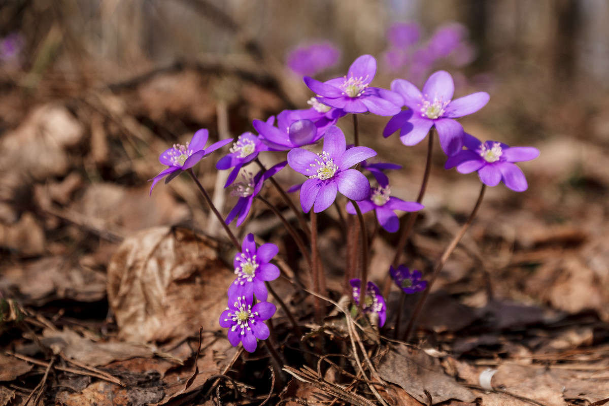 �������� ������ �������� ����� �����  �� PhotoGeek.ru #������ ��� ������� #����� �������������� #��������� #����� ��������