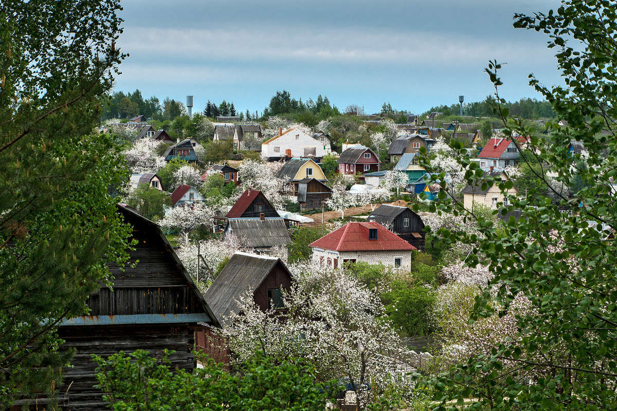 ������ ���� ����� �����  �� PhotoGeek.ru #������ ��� ������� #����� �������������� #����� ��������