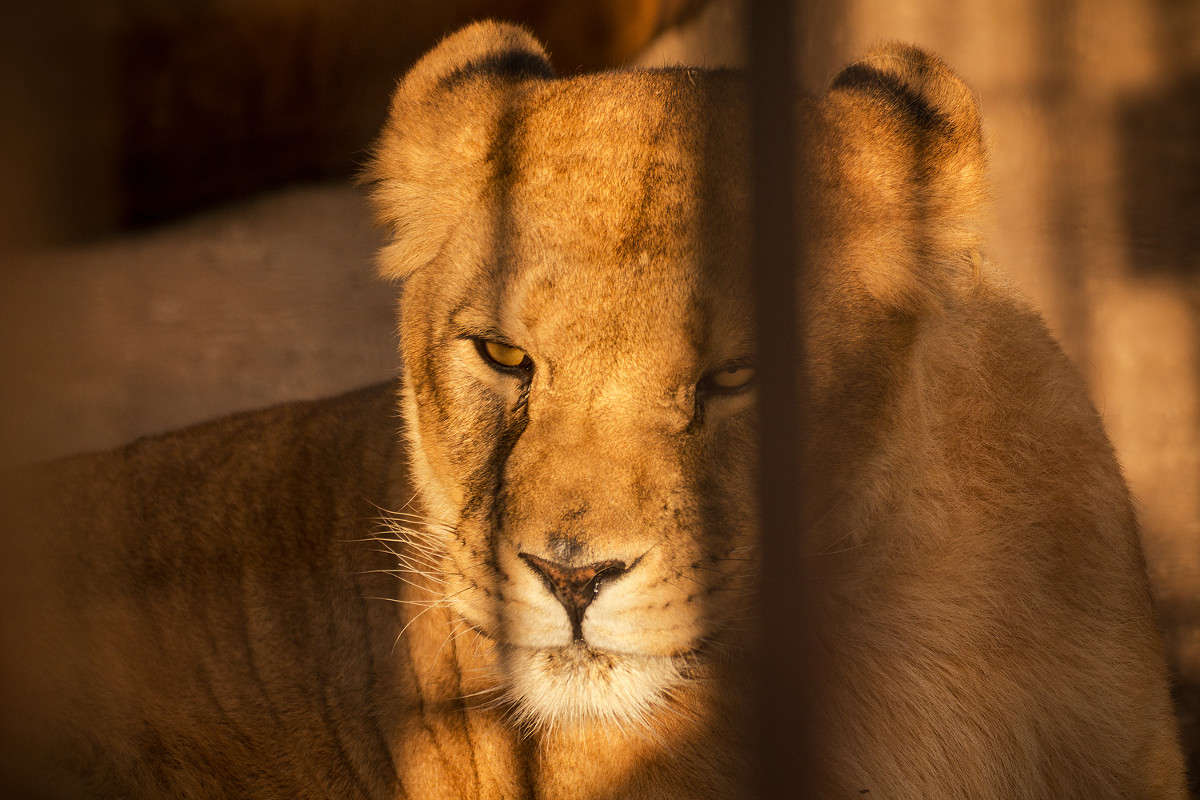 �� ��������� ������ ����� �����  �� PhotoGeek.ru #�������� ��� #�������