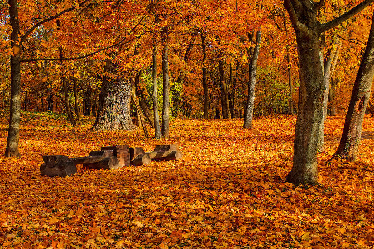 ������� ����� � ����� ����� �����  �� PhotoGeek.ru #������ ��� ������� #����� ��������������