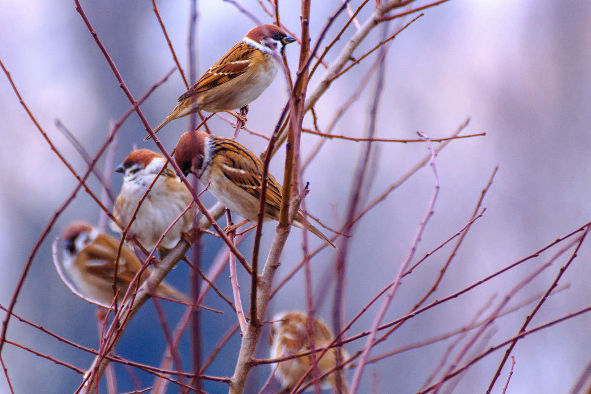 7 ������ ����� �����  �� PhotoGeek.ru #�������� ��� #����� ��� ��� ���������