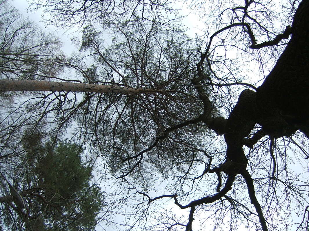 ���� �����  ������ ����� ������� ���������� �� PhotoGeek.ru #������ ��� �������