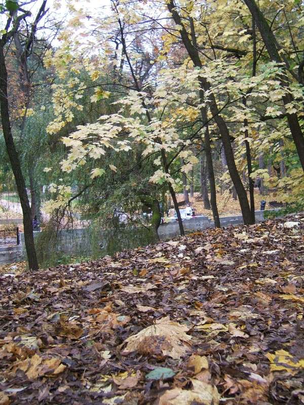 ������� ������ �������� ����� ������� ���������� �� PhotoGeek.ru #������ ��� �������