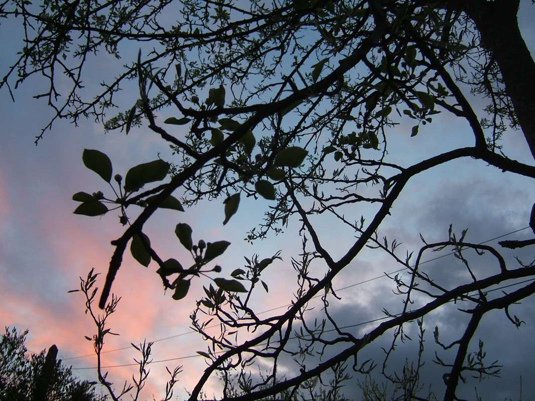 ������� ������ � ����� ����� ������� ���������� �� PhotoGeek.ru #������ ��� �������