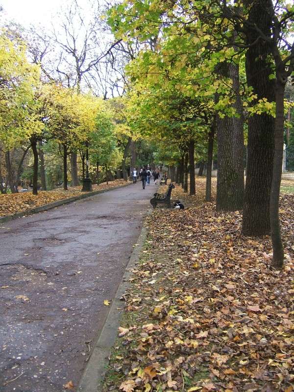 ����� ������� ����� ������ ��� ����� ������� ���������� �� PhotoGeek.ru #������ ��� �������