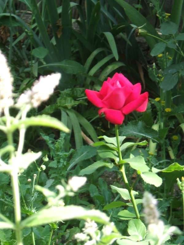 ������� �������� ���� ����� ������� ���������� �� PhotoGeek.ru #������ ��� �������