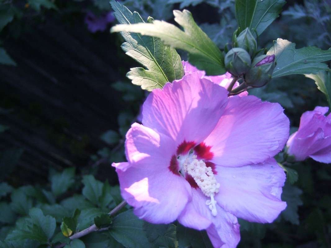 �������� ���� ������ ����� ������� ���������� �� PhotoGeek.ru #������ ��� �������