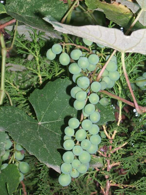 ����� ��������� ����� ��� ����� ������� ���������� �� PhotoGeek.ru #������ ��� �������