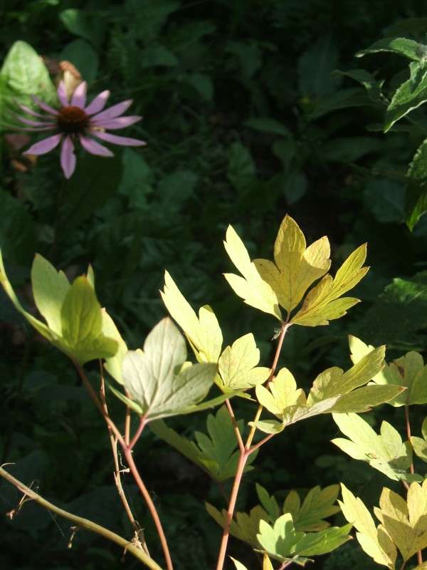 ������� ���������� � ���� ����� ������� ���������� �� PhotoGeek.ru #������ ��� �������