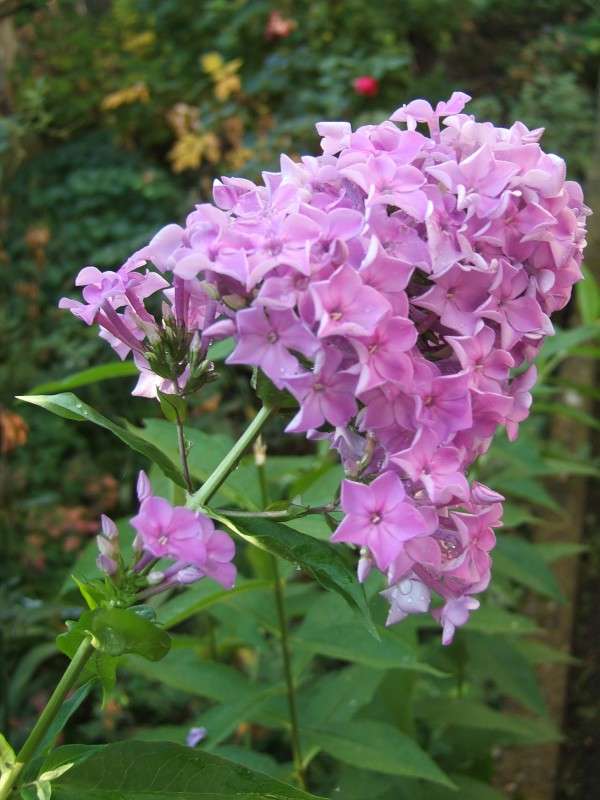 ������ ���� ��������� ����� ������� ���������� �� PhotoGeek.ru