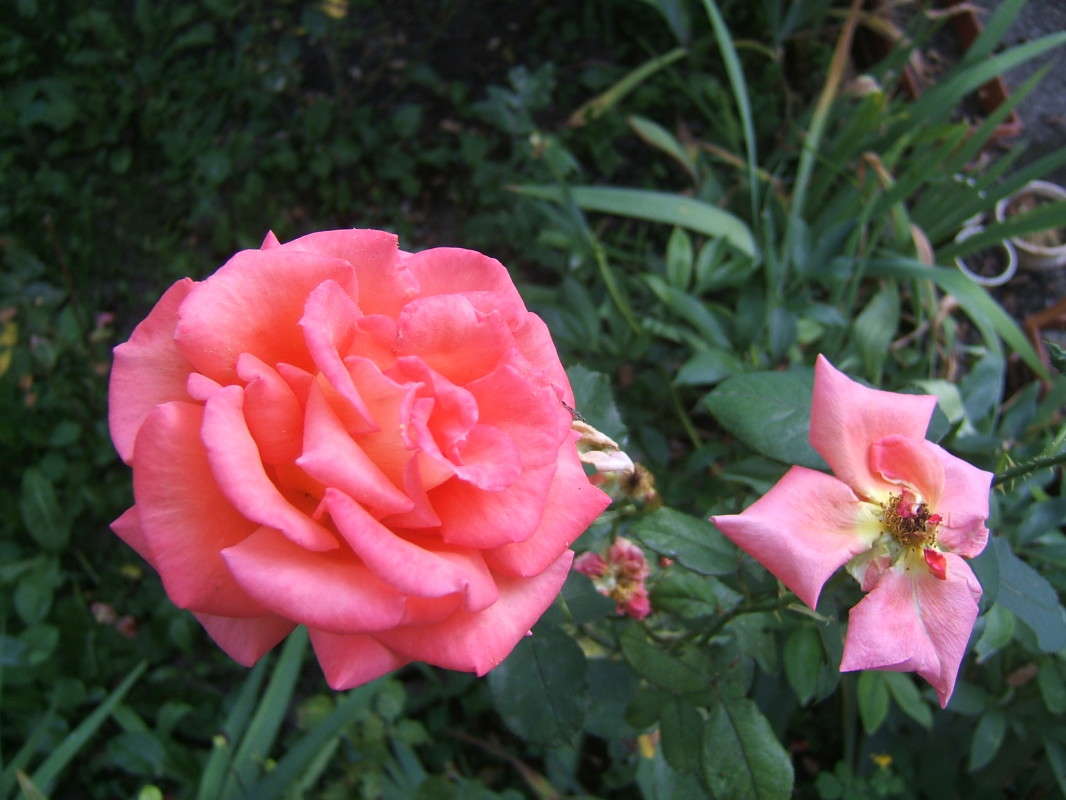 ���� �������� � ������ ����� ����� ������� ���������� �� PhotoGeek.ru #������ ��� �������